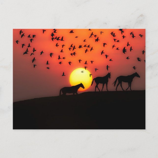 Cartão Postal Linda Silhouette Sunset (Frente)