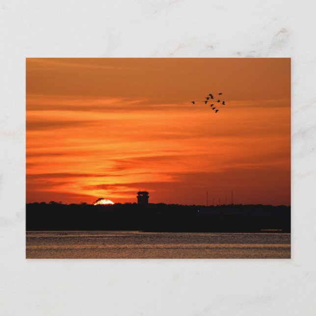 Cartão Postal Linda Silhouette Sunset (Frente)