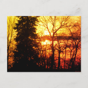 Cartão Postal Linda Sunset Canada Trees Orange Dourado Sky Posto