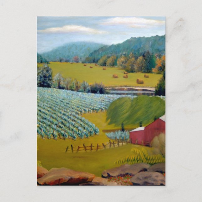 Cartão Postal Linda Vineyard na Fazenda Augusta Missouri (Frente)