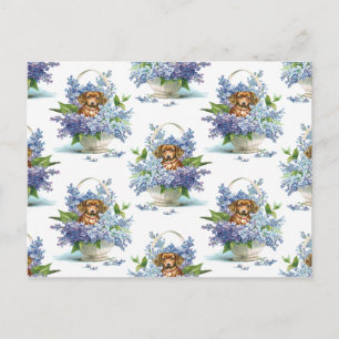 Cartão Postal Linda Vintagem De Um Cão De Dachshund