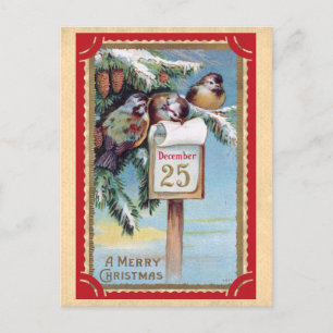 Cartão Postal Lindas Aves Vintage Feliz Natal