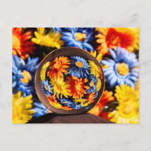Cartão Postal Lindas Cores de Flores Órbvias