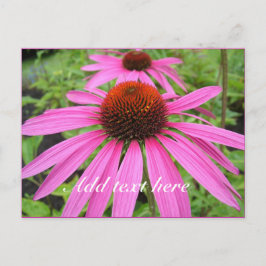 Cartão Postal lindas flores roxas rosa