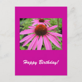 Cartão Postal lindas flores roxas rosa