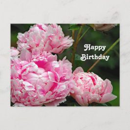 Cartão Postal Lindas Peônias Rosa Floral Foto Aniversário
