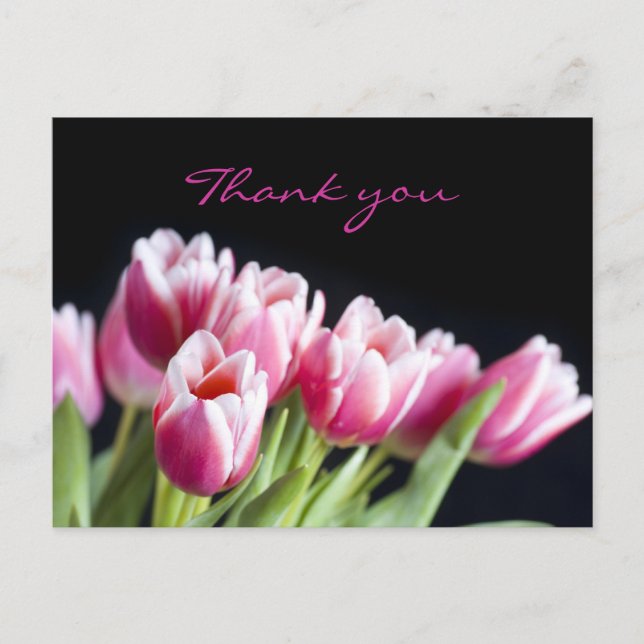 Cartão Postal Lindas Tulipas Rosa (Frente)