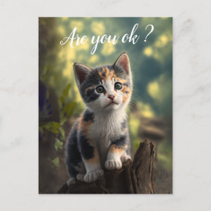 Cartão Postal Lindíssimo Gatinho Calico Está Preocupado