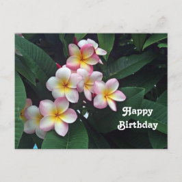 Cartão Postal Lindo aniversário floral de Plumeria rosa e amarel