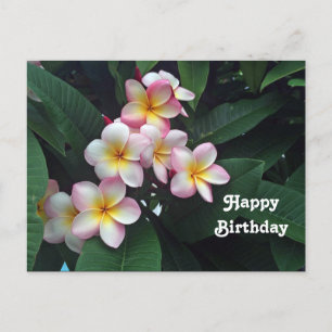 Cartão Postal Lindo Aniversário Floral de Plumeria Rosa e Amarel