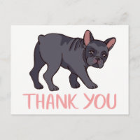 Lindo Bulldog Francês Obrigado Frenchie Cachorrinh
