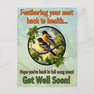 Cartão Postal Lindo cartão-postal de Get Well dos Baltimore Orio