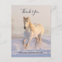 Lindo Cavalo Branco na Foto da Neve Obrigado