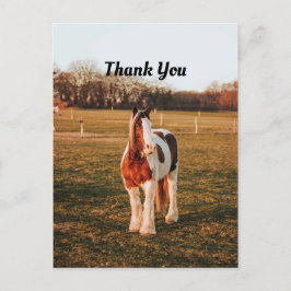 Cartão Postal Lindo Cavalo de Tiro Pintado Marrom Foto Obrigado