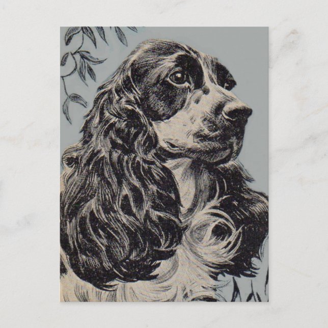 Cartão Postal lindo cocker spaniel (Frente)