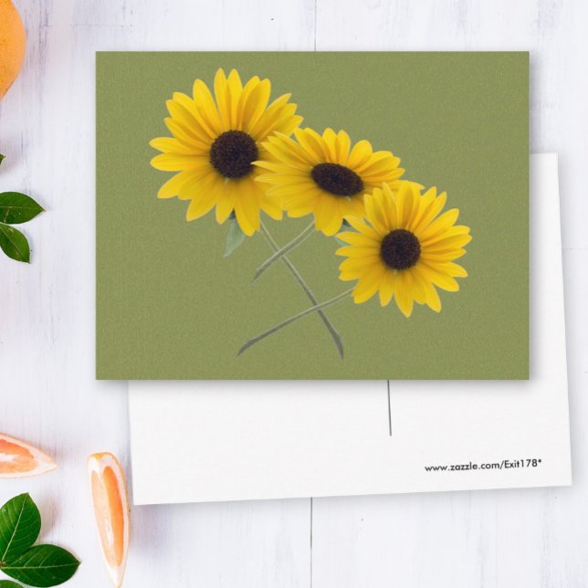 Cartão Postal Lindo Fotografia Tripla De Girassol Em Verde (three sunflower photo front and blank back postcard)