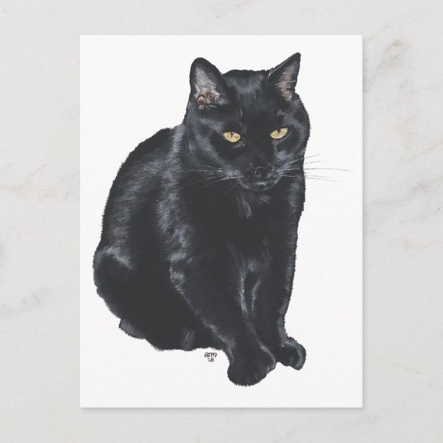 Cartão Postal Lindo Gato Preto (Frente)