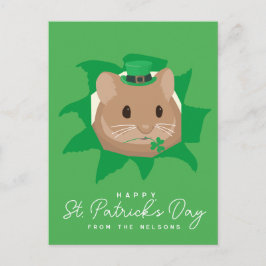 Cartão Postal Lindo hamster do Dia de São Patrício espiando pelo