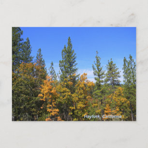 Cartão Postal Lindo Hayfork, Califórnia...