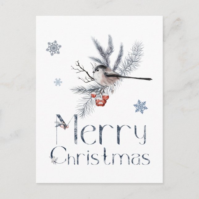 Cartão Postal Lindo passarinho pousa em um galho de pinheiro (Frente)