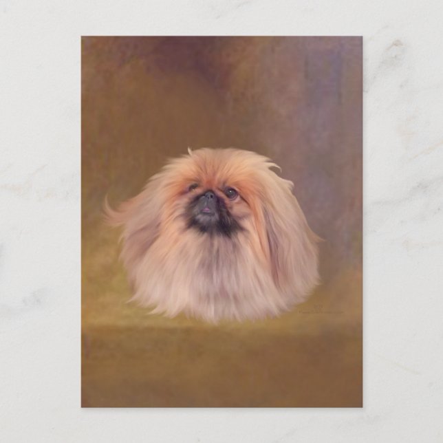 Cartão Postal Lindo Pekingese (Frente)