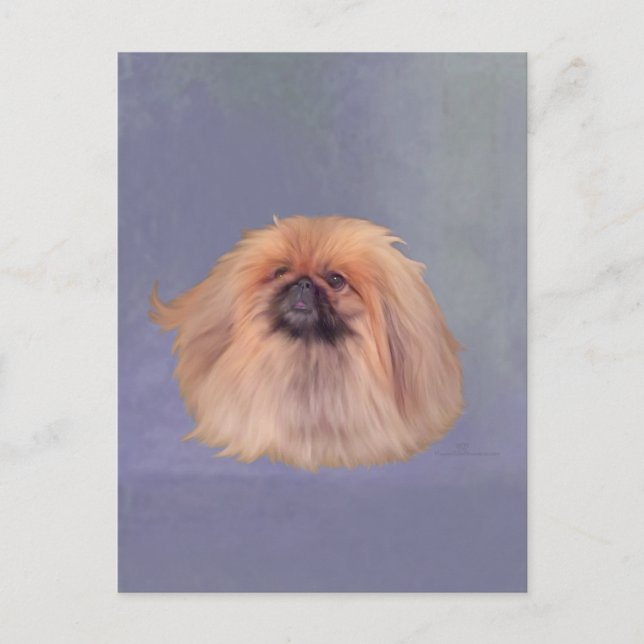 Cartão Postal Lindo Pekingese (Frente)