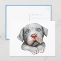 Lindo Pit Bull Pittie Cachorro Amor Olá Pitbull