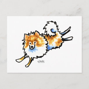 Cartão Postal Lindo Pomerânia Branco Laranja