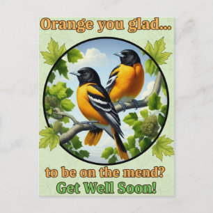 Cartão Postal Lindos Baltimore Orioles Cartão-postal de Melhoras