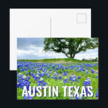 Cartão Postal Lindos Bluebonnets Austin Texas Photoics<br><div class="desc">Uma bela fotografia dos bluebonnets de Austin Texas num campo da natureza faz um postal bonito para um texano que ama flores silvestres. É a flor do estado e traz orgulho de excelente.</div>