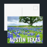 Cartão Postal Lindos Bluebonnets Austin Texas Photoics<br><div class="desc">Uma bela fotografia dos bluebonnets de Austin Texas num campo da natureza faz um postal bonito para um texano que ama flores silvestres. É a flor do estado e traz orgulho de excelente.</div>