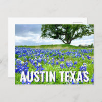 Lindos Bluebonnets Austin Texas Photoics