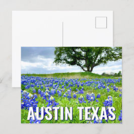 Cartão Postal Lindos Bluebonnets Austin Texas Photoics