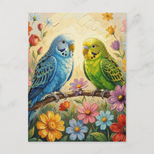 Cartão Postal Lindos Periquitos Impasto   Mantendo Contato