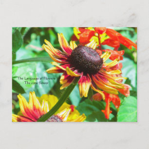 Cartão Postal Linguagem das Flores a Flor de Cone