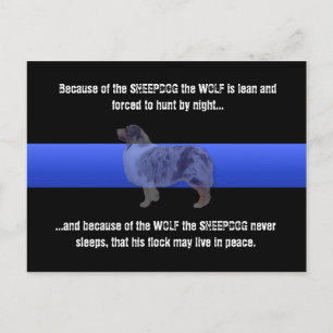 Cartão Postal Linha Azul Fino O Cão-Ovelha Nunca Dorme