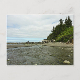 Cartão Postal Linha costeira da Califórnia norte do Parque Redwo