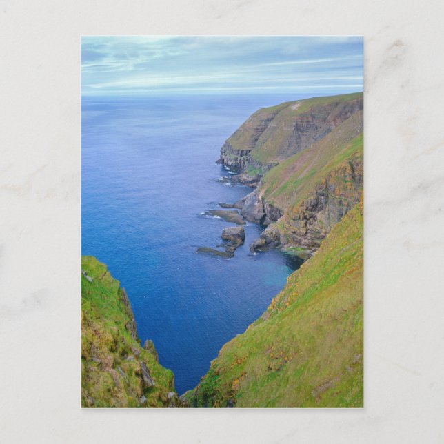 Cartão Postal Linha costeira da Terra Nova (Frente)