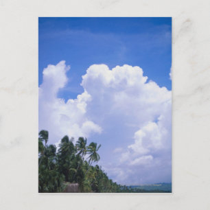 Cartão Postal Linha costeira tropical