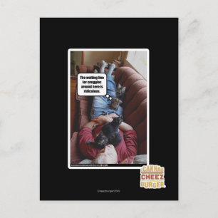 Cartão Postal Linha de espera para snuggles