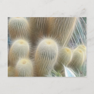 Cartão Postal Linhas de Cores do Cactus