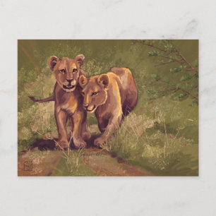 Cartão Postal Lion Cubs