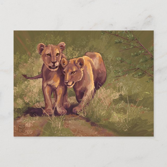 Cartão Postal Lion Cubs (Frente)
