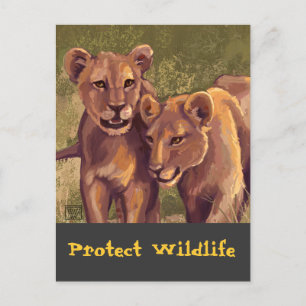 Cartão Postal Lion Cubs protege a natureza