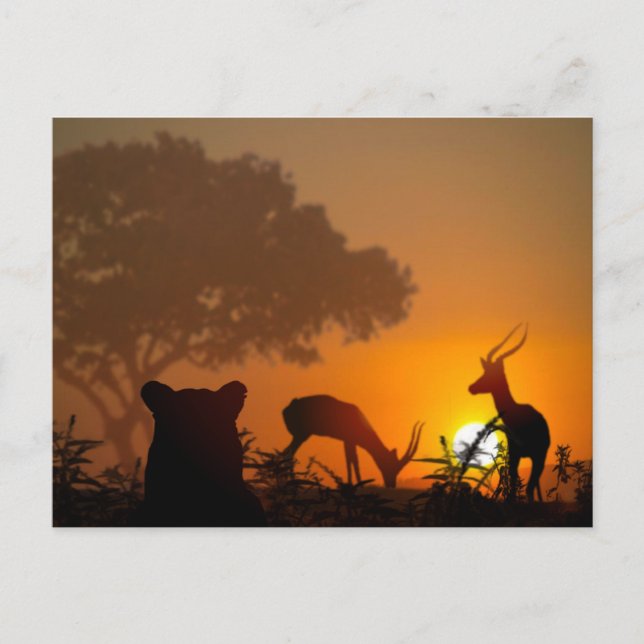 Cartão Postal Lion Hunt (Frente)
