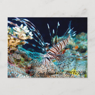 Cartão Postal Lionfish do cartão-postal da barreira do Excelente