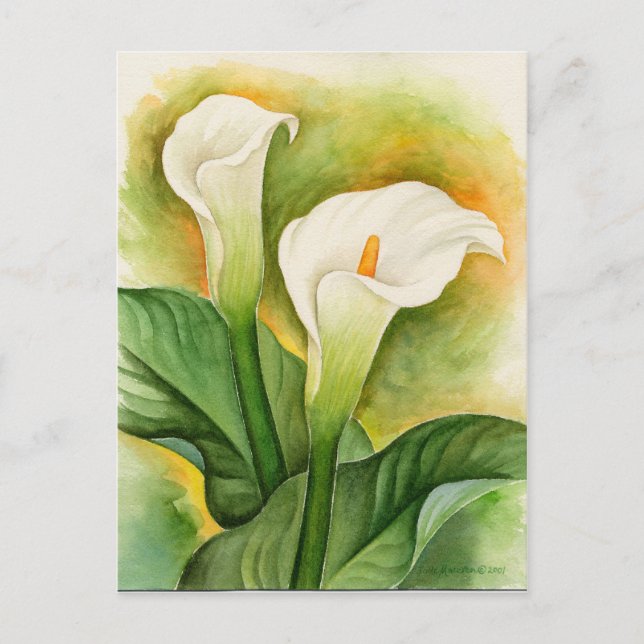 Cartão Postal Lírio Cala Branco Aquarela Floral (Frente)