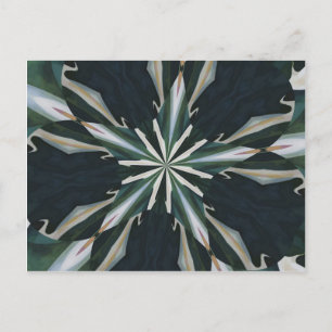 Cartão Postal Lírio Calla Estrela Caleidoscópio