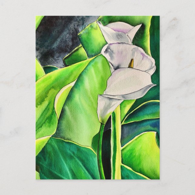 Cartão Postal Lírio-de-água branco aquarela floral tropical (Frente)