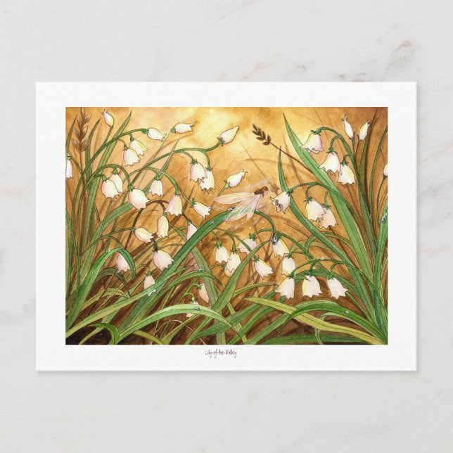 Cartão Postal Lírio---Vale (Frente)